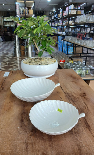 کاسه برگی جفتی